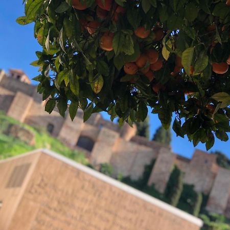 Dl Patio Malaga Leilighet Eksteriør bilde